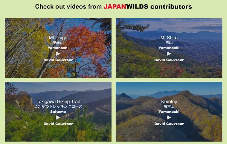 A grid of Japanwilds contributor videos, each labelled with the mountain, prefecture, and contributor.